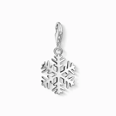 THOMAS SABO Charms | Charms<CHARM-H&AUML;NGSMYCKE SN&OUML;FLINGA silverfargad