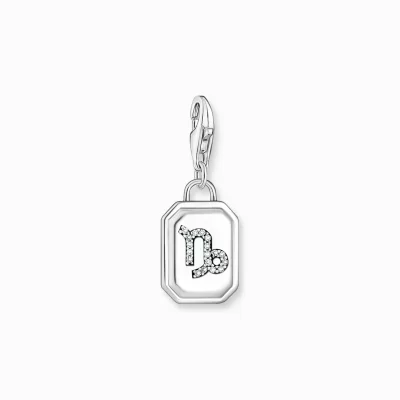 THOMAS SABO Charms | Charms<CHARM-H&AUML;NGSMYCKE STJ&AUML;RNTECKNET STENBOCKEN MED STENAR, SILVER silverfargad, vit